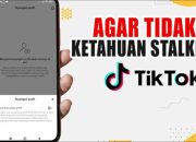 Cara Agar Tidak Diketahui Saat Mengunjungi Profil Tiktok