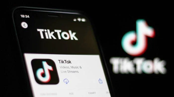 Apa Arti Velocity dalam Bahasa Gaul dan Medsos?