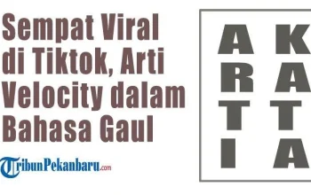 Apa Arti Velocity dalam Bahasa Gaul dan Medsos?
