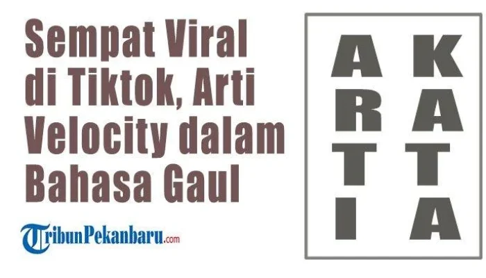 Apa Arti Velocity dalam Bahasa Gaul dan Medsos?