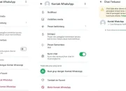 Cara Mengunci Chat di WhatsApp