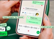Cara Sembunyikan Status Online di WhatsApp