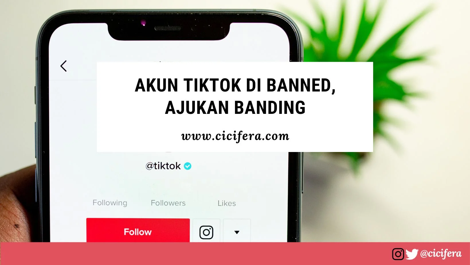 Mengapa Akun TikTok Dibanned?