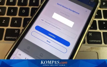 Metode utama untuk cek nomor HP terdaftar di akun online