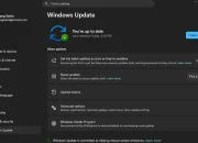 Cara Mengatasi Masalah Lisensi Office yang Hilang Setelah Pembaruan Windows Update
