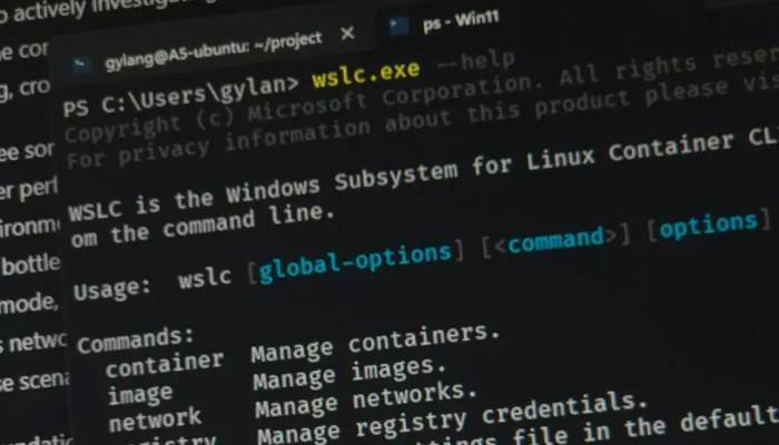 Mengenal Rencana Pengembangan Dukungan Compose untuk WSL Containers di Windows