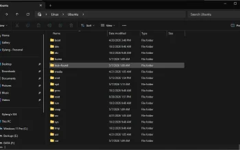 Tampilan antarmuka terminal Windows Subsystem for Linux 3.0
