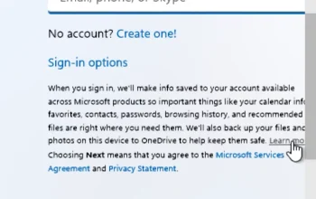 Tampilan layar instalasi Windows 11 yang meminta koneksi internet dan akun Microsoft