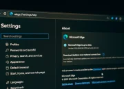 Tampilan pengaturan autentikasi pada peramban Microsoft Edge